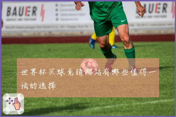 世界杯买球竞猜网站有哪些值得一试的选择