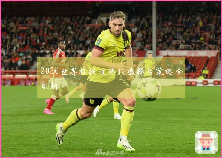 2026世界杯投注热门选择与策略全剖析