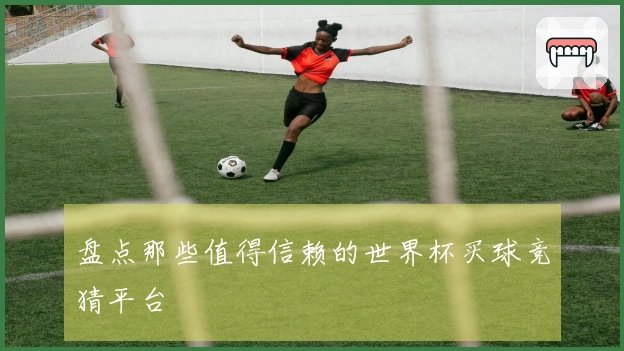 盘点那些值得信赖的世界杯买球竞猜平台