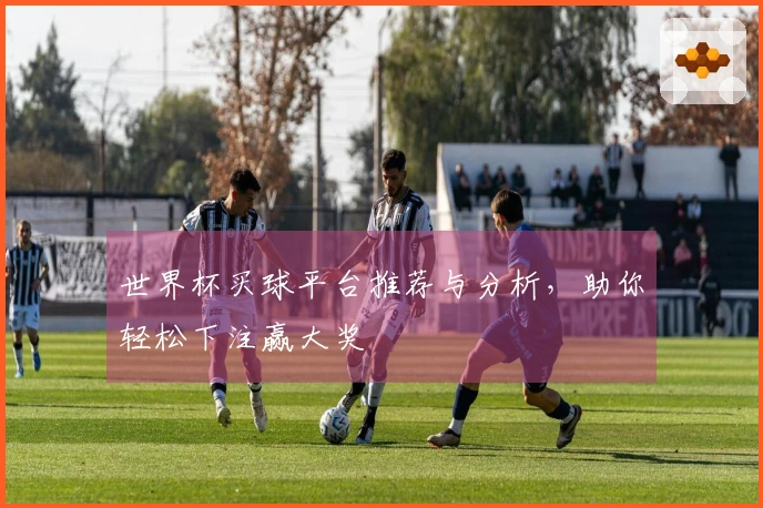 世界杯买球平台推荐与分析，助你轻松下注赢大奖