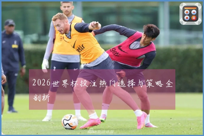2026世界杯投注热门选择与策略全剖析
